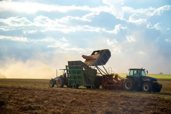 Erdnusstraktorplantage — Stockfoto