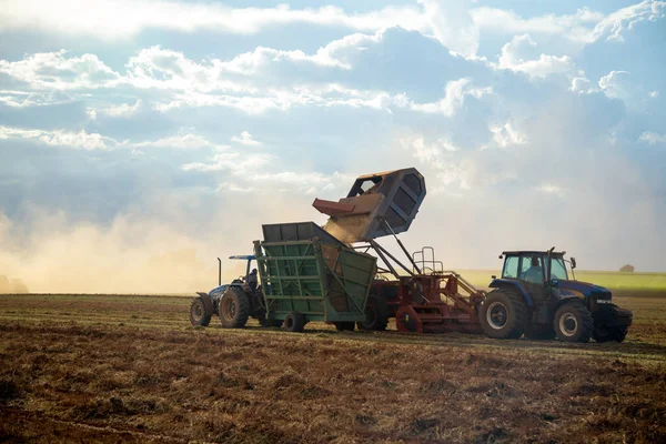 Arašídovou traktor plantáž pole — Stock fotografie