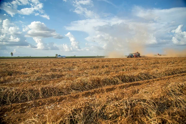 Arašídovou traktor plantáž pole — Stock fotografie