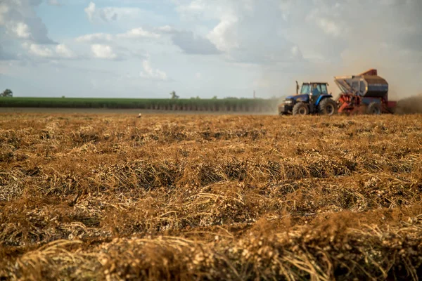 Arašídovou traktor plantáž pole — Stock fotografie