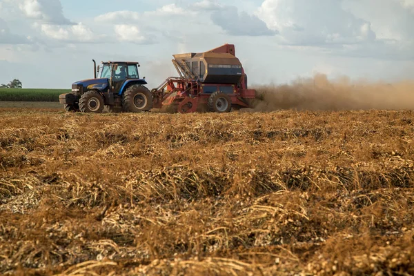 Arašídovou traktor plantáž pole — Stock fotografie