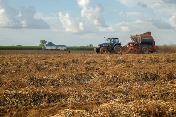 Földimogyoró traktor ültetvény mező — Stock Fotó