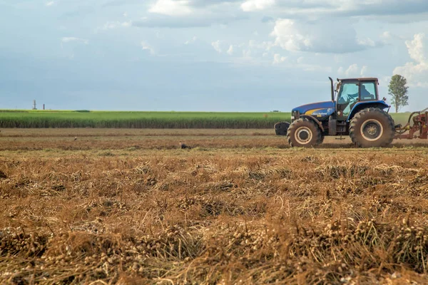 Arašídovou traktor plantáž pole — Stock fotografie