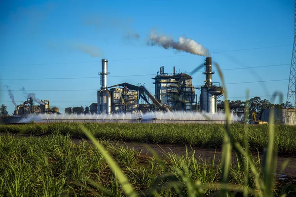 Suikerriet industrie plantage — Stockfoto