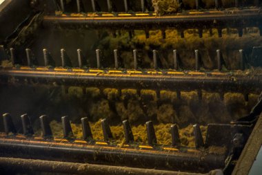 şeker kamışı satır sanayi