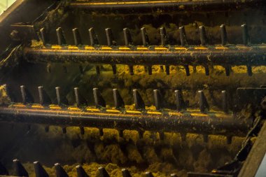 şeker kamışı satır sanayi