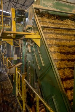 şeker kamışı satır sanayi