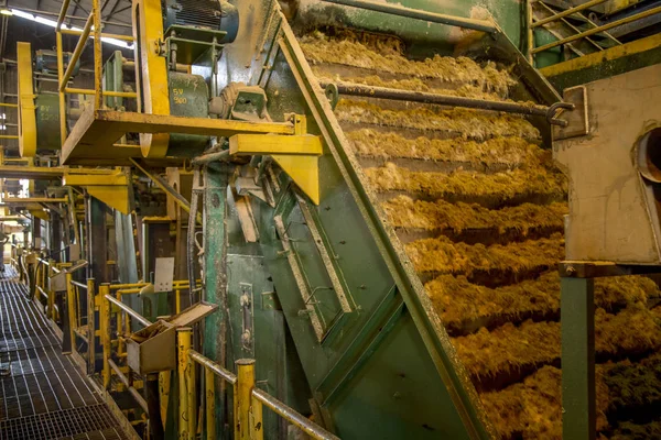 şeker kamışı satır sanayi