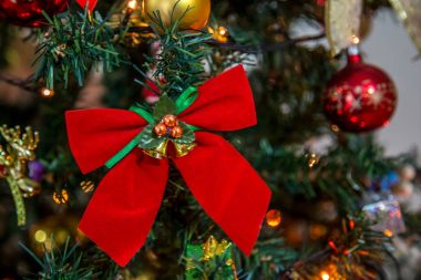 Noel süs kutlama çam