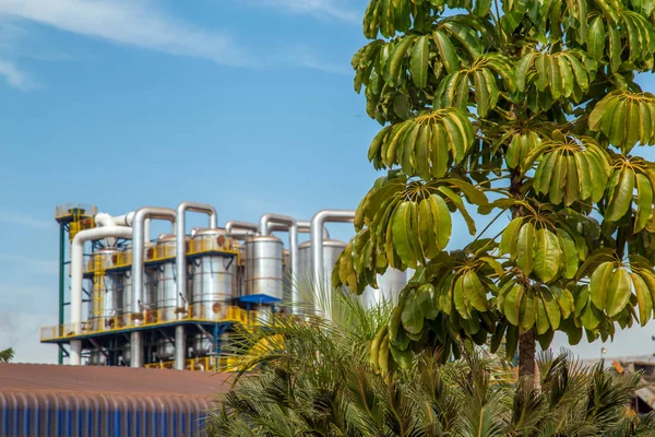 Sugar factory industry line production cane process — Stock Image Sugar factory industry line production cane process Royalty Free Stock Photos