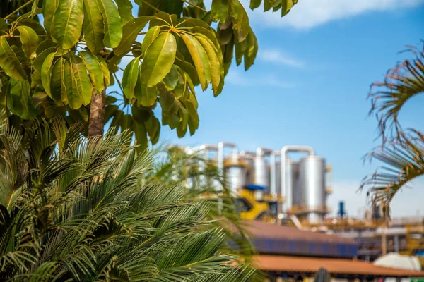 Sugar factory industry line production cane process — Stock Image Sugar factory industry line production cane process Stock Picture