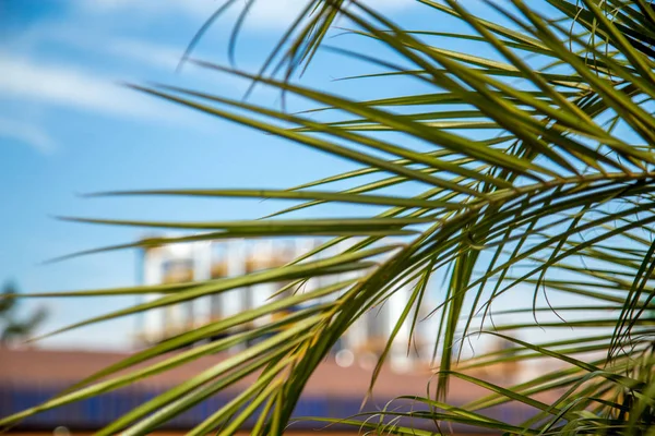 Sugar factory industry line production cane process — Stock Image Sugar factory industry line production cane process Royalty Free Stock Photos