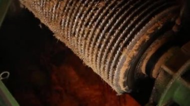 şeker kamışı satır fabrika üretim