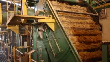 şeker kamışı satır fabrika üretim