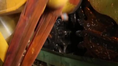 şeker kamışı satır fabrika üretim