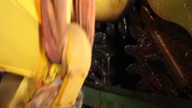 şeker kamışı satır fabrika üretim