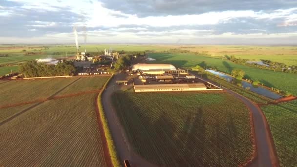 甘蔗工业厂房结构天线 — 图库视频影像