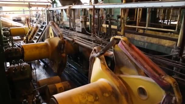 Suikerriet Lijn Fabriek Productie — Stockvideo