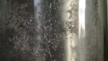 şeker kamışı rafineri damıtım çalışma