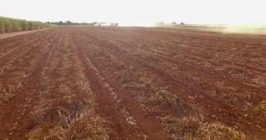 Fıstık traktör Hasat çiftlik