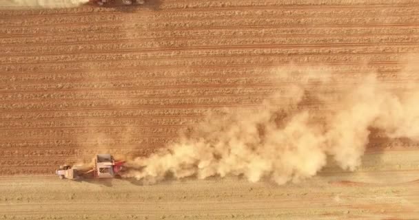 Plantation de récolte tracteur arachide — Video