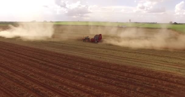 Orzechowe ciągnika zbiorów plantacji — Wideo stockowe