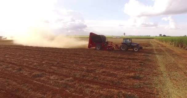 Peanut tractor harvest plantation — Stock Video