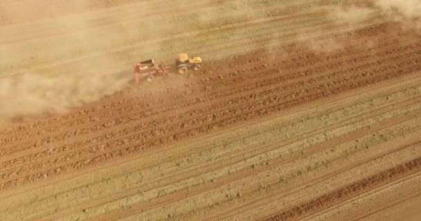 トラクターの落花生収穫農園 — ストック動画