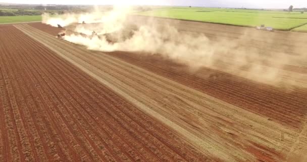 Arašídovou traktor sklizeň plantáže — Stock video