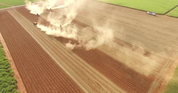 Plantación de cosecha de tractor de maní — Vídeo de stock