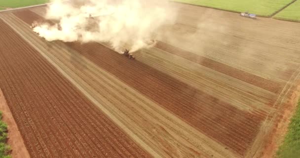 Arašídovou traktor sklizeň plantáže — Stock video