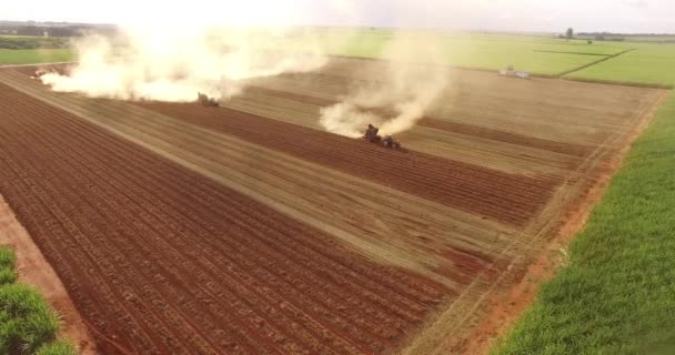 Pinda trekker oogst plantage — Stockvideo