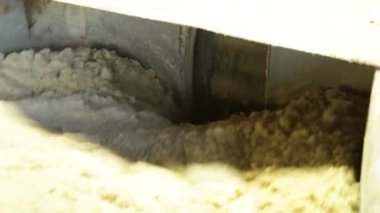 şeker fabrikası sanayi hattı üretim kamışı