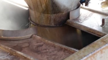 şeker fabrikası sanayi hattı üretim kamışı