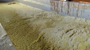 şeker fabrikası sanayi hattı üretim kamışı