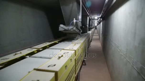 sucre usine ligne de production processus de canne à sucre 