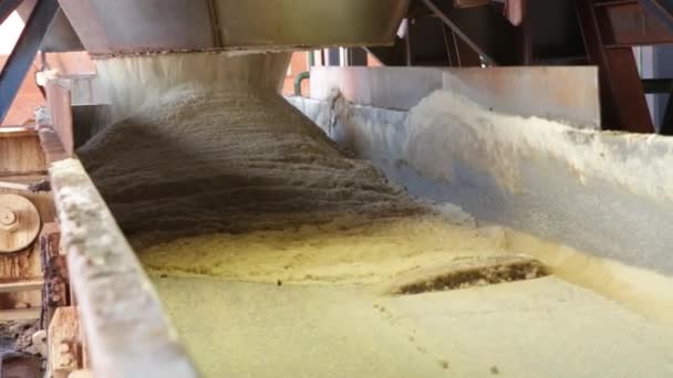 糖厂工业线生产甘蔗过程 — 图库视频影像