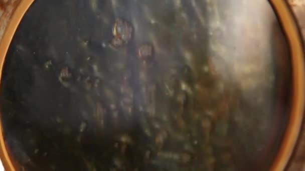 ligne de bouillon de sucre usine 