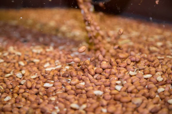 Peanut process industry brazil — Stock Photo, Image