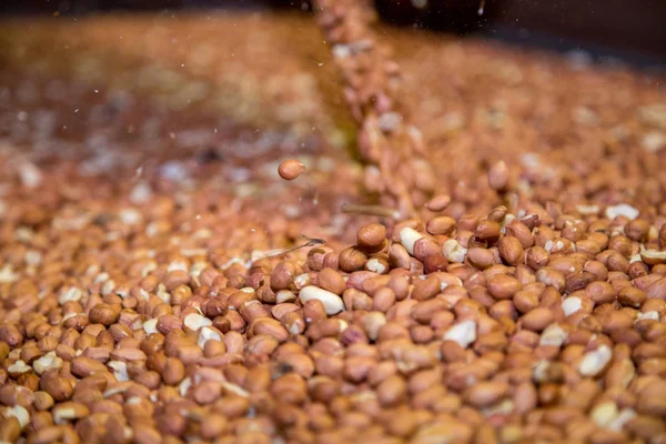 Peanut process industry brazil — Stock Photo, Image