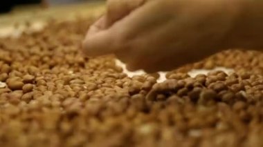 Fıstık sanayi Brezilya işlemek