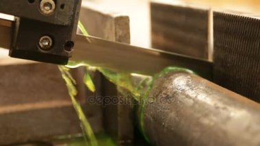 kauçuk ağacı cultive orman