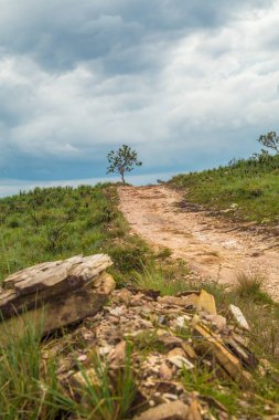 Milli Parkı serra canastra Brezilya