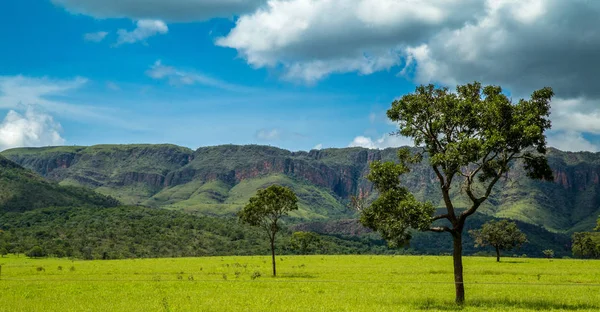 Milli Parkı serra canastra Brezilya