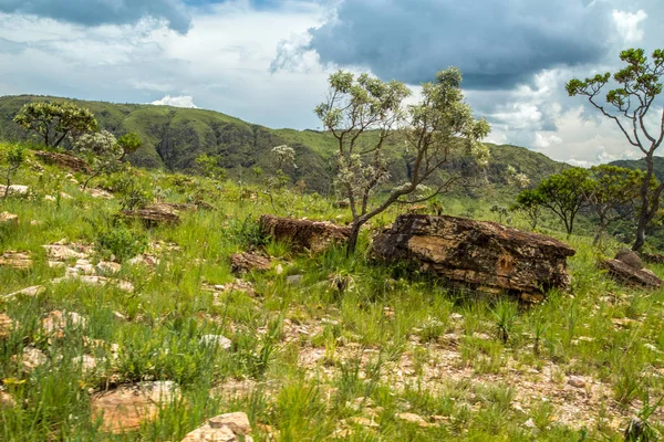 Milli Parkı serra canastra Brezilya