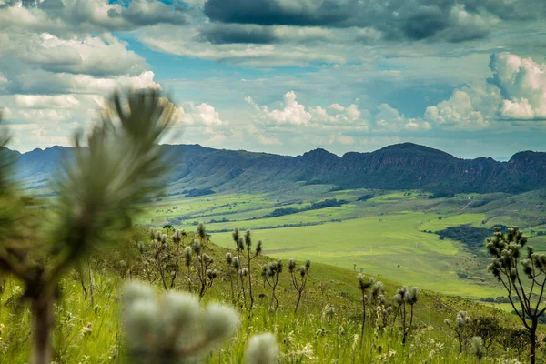 Milli Parkı serra canastra Brezilya