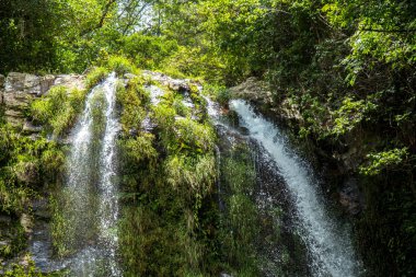 Milli Parkı Brezilya düşmek serra da canastra