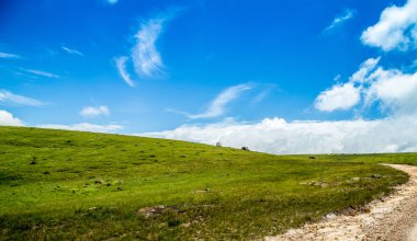 Brezilya Ulusal Parkı Serra da Canastra