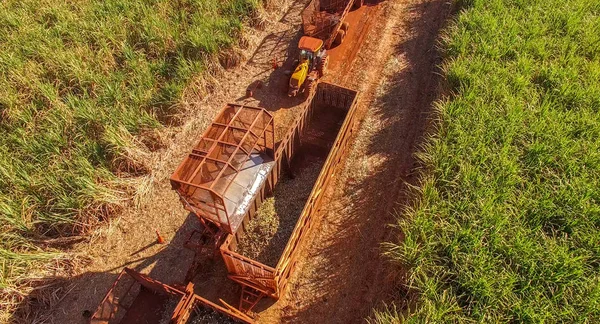 Caña Azúcar Hasvest Plantación Aérea — Foto de Stock