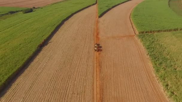 サトウキビ収穫プランテーション航空機 — ストック動画